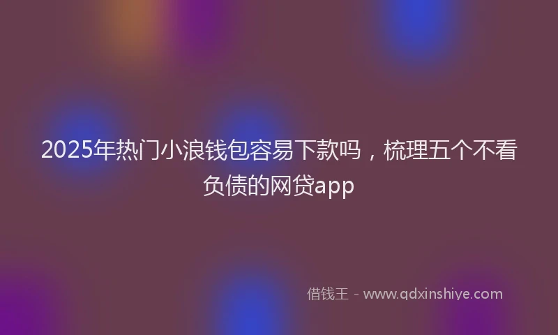 2025年热门小浪钱包容易下款吗，梳理五个不看负债的网贷app