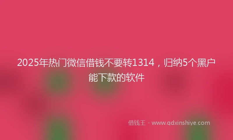 2025年热门微信借钱不要转1314，归纳5个黑户能下款的软件