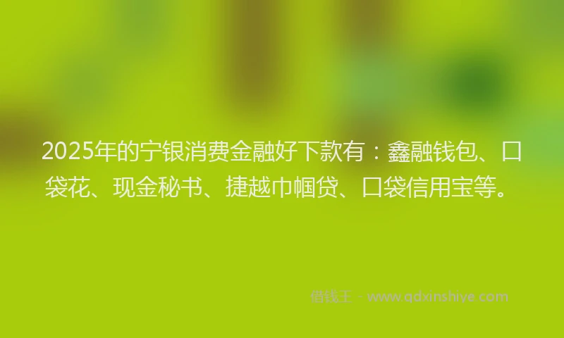 2025年的宁银消费金融好下款有：鑫融钱包、口袋花、现金秘书、捷越巾帼贷、口袋信用宝等。