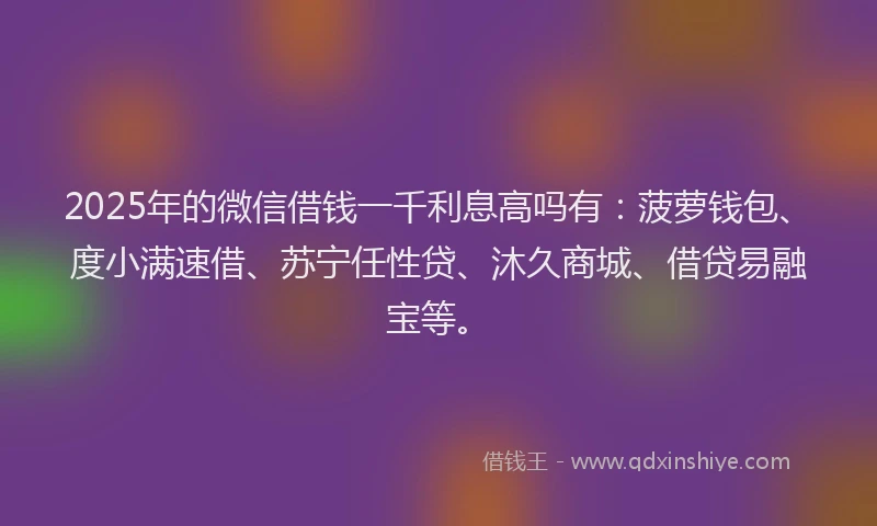 2025年的微信借钱一千利息高吗有：菠萝钱包、度小满速借、苏宁任性贷、沐久商城、借贷易融宝等。