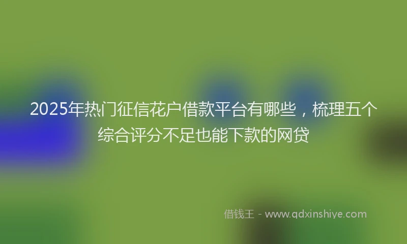 2025年热门征信花户借款平台有哪些，梳理五个综合评分不足也能下款的网贷
