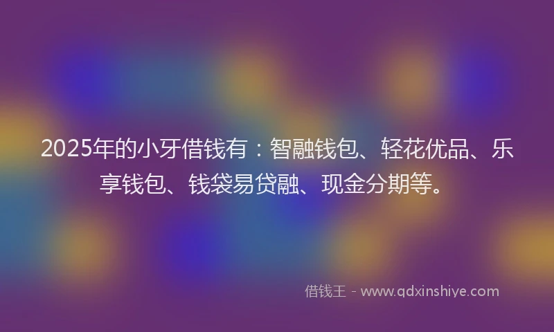 2025年的小牙借钱有：智融钱包、轻花优品、乐享钱包、钱袋易贷融、现金分期等。
