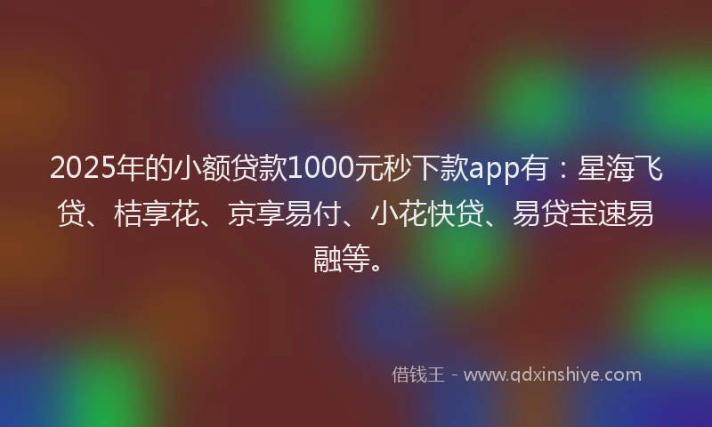 2025年的小额贷款1000元秒下款app有：星海飞贷、桔享花、京享易付、小花快贷、易贷宝速易融等。