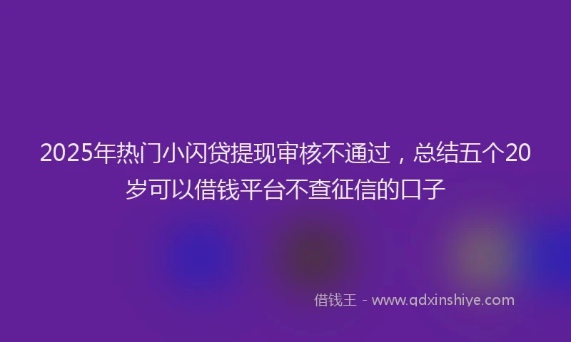 2025年热门小闪贷提现审核不通过，总结五个20岁可以借钱平台不查征信的口子