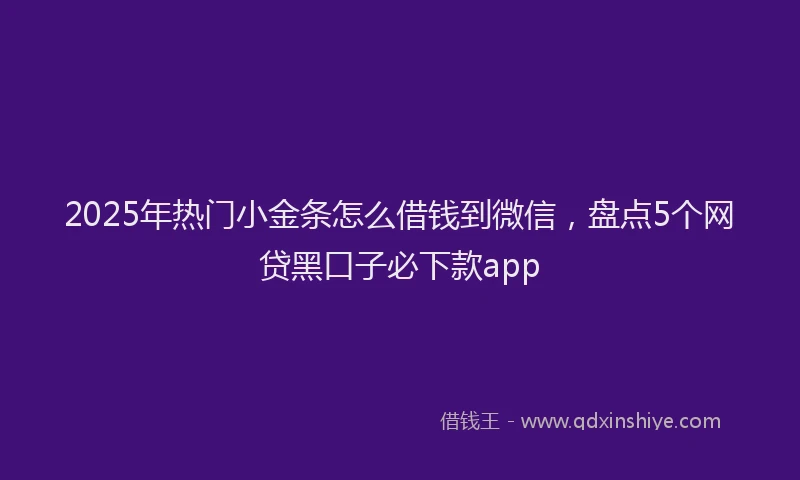 2025年热门小金条怎么借钱到微信，盘点5个网贷黑口子必下款app