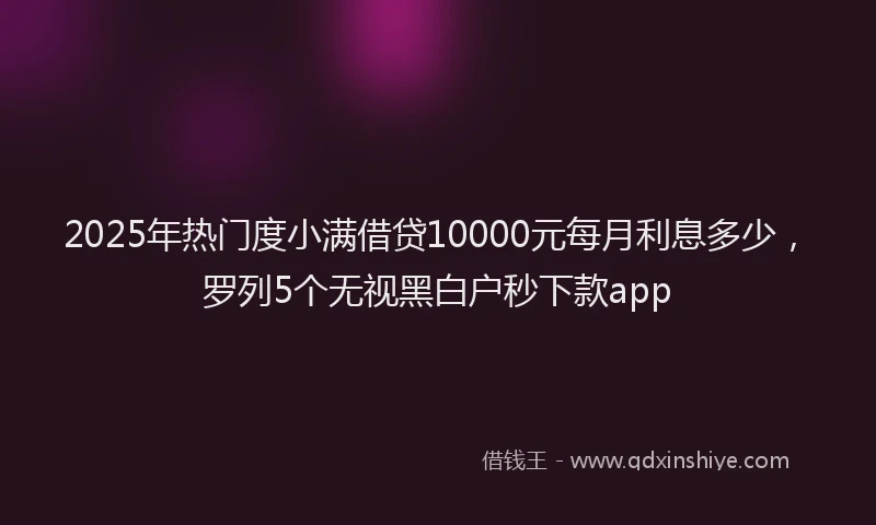 2025年热门度小满借贷10000元每月利息多少，罗列5个无视黑白户秒下款app