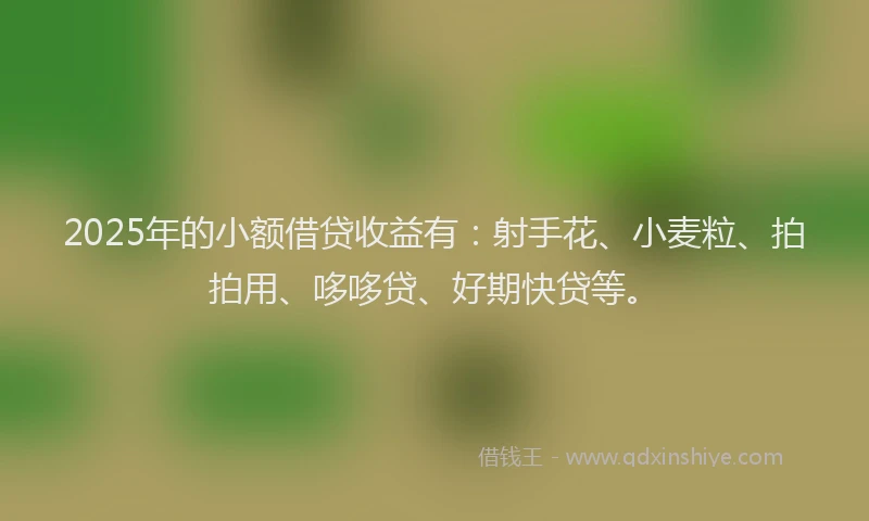2025年的小额借贷收益有：射手花、小麦粒、拍拍用、哆哆贷、好期快贷等。