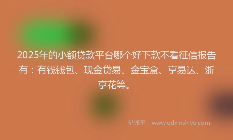 2025年的小额贷款平台哪个好下款不看征信报告有：有钱钱包、现金贷易、金宝盒、享易达、浙享花等。