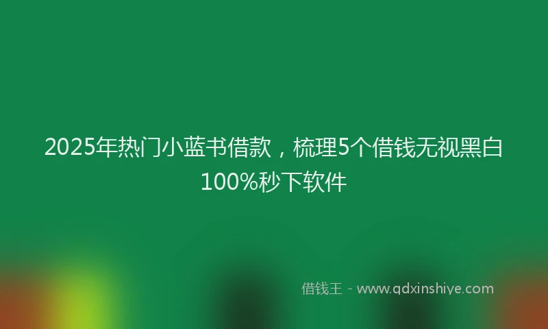 2025年热门小蓝书借款，梳理5个借钱无视黑白100%秒下软件