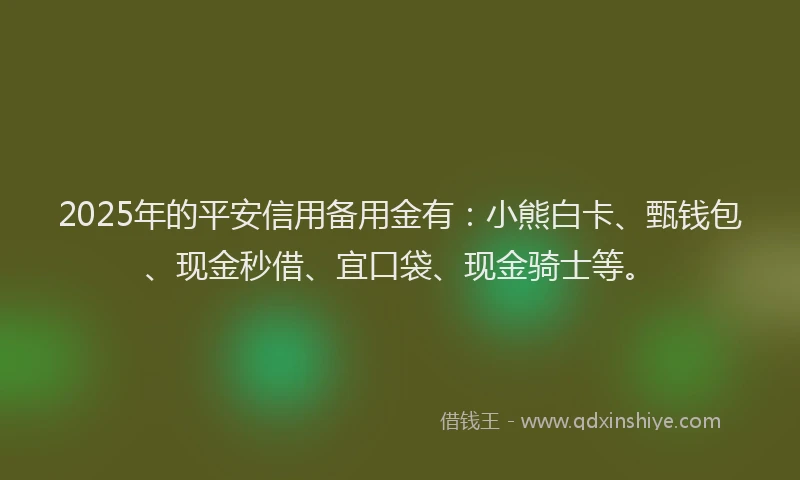2025年的平安信用备用金有：小熊白卡、甄钱包、现金秒借、宜口袋、现金骑士等。