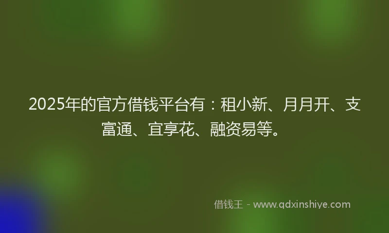 2025年的官方借钱平台有：租小新、月月开、支富通、宜享花、融资易等。
