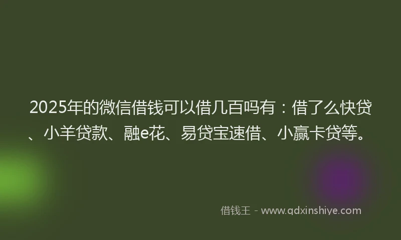 2025年的微信借钱可以借几百吗有：借了么快贷、小羊贷款、融e花、易贷宝速借、小赢卡贷等。