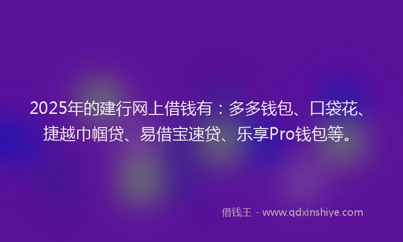 2025年的建行网上借钱有：多多钱包、口袋花、捷越巾帼贷、易借宝速贷、乐享Pro钱包等。