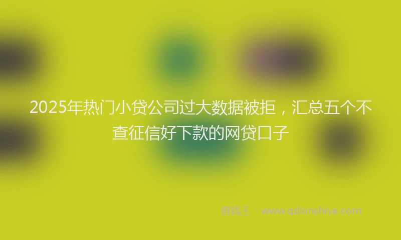 2025年热门小贷公司过大数据被拒，汇总五个不查征信好下款的网贷口子