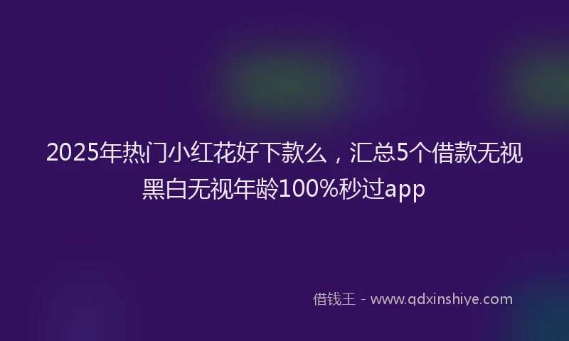 2025年热门小红花好下款么，汇总5个借款无视黑白无视年龄100%秒过app