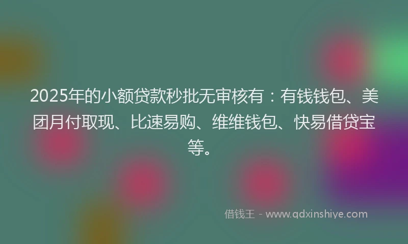 2025年的小额贷款秒批无审核有：有钱钱包、美团月付取现、比速易购、维维钱包、快易借贷宝等。