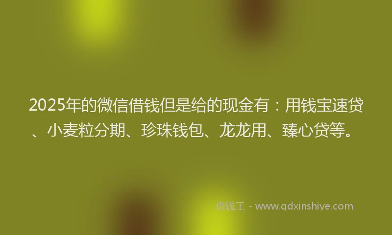 2025年的微信借钱但是给的现金有：用钱宝速贷、小麦粒分期、珍珠钱包、龙龙用、臻心贷等。