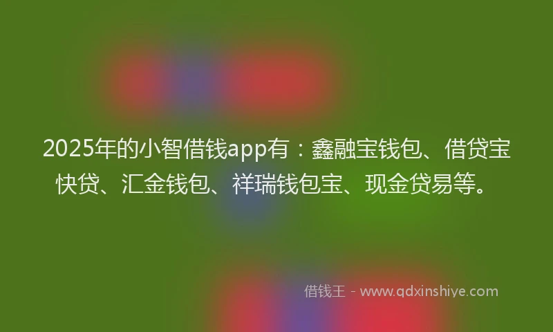 2025年的小智借钱app有：鑫融宝钱包、借贷宝快贷、汇金钱包、祥瑞钱包宝、现金贷易等。