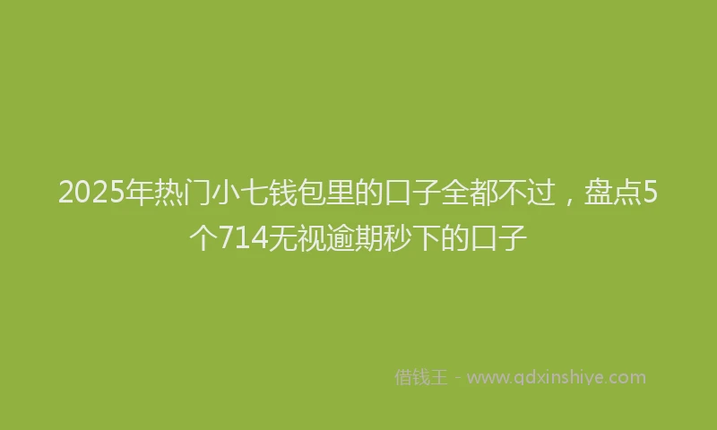 2025年热门小七钱包里的口子全都不过，盘点5个714无视逾期秒下的口子