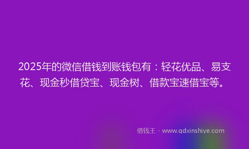 2025年的微信借钱到账钱包有：轻花优品、易支花、现金秒借贷宝、现金树、借款宝速借宝等。
