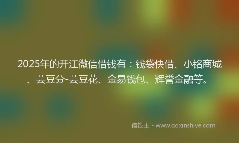 2025年的开江微信借钱有：钱袋快借、小铭商城、芸豆分-芸豆花、金易钱包、辉誉金融等。