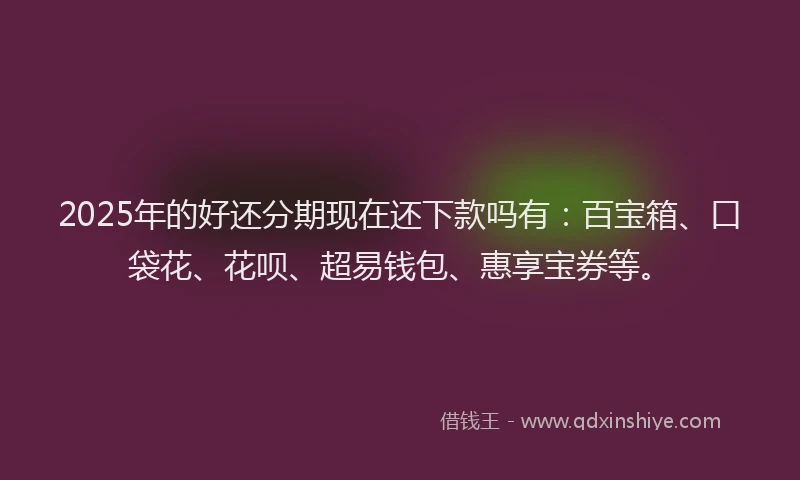 2025年的好还分期现在还下款吗有：百宝箱、口袋花、花呗、超易钱包、惠享宝券等。