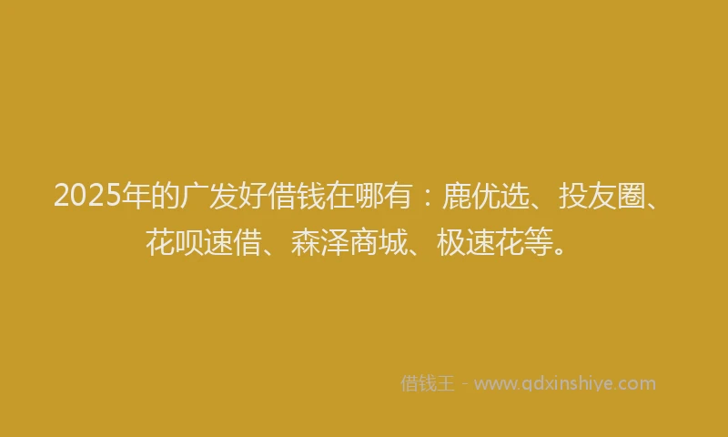 2025年的广发好借钱在哪有：鹿优选、投友圈、花呗速借、森泽商城、极速花等。