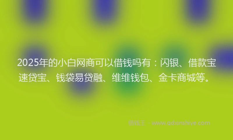 2025年的小白网商可以借钱吗有：闪银、借款宝速贷宝、钱袋易贷融、维维钱包、金卡商城等。