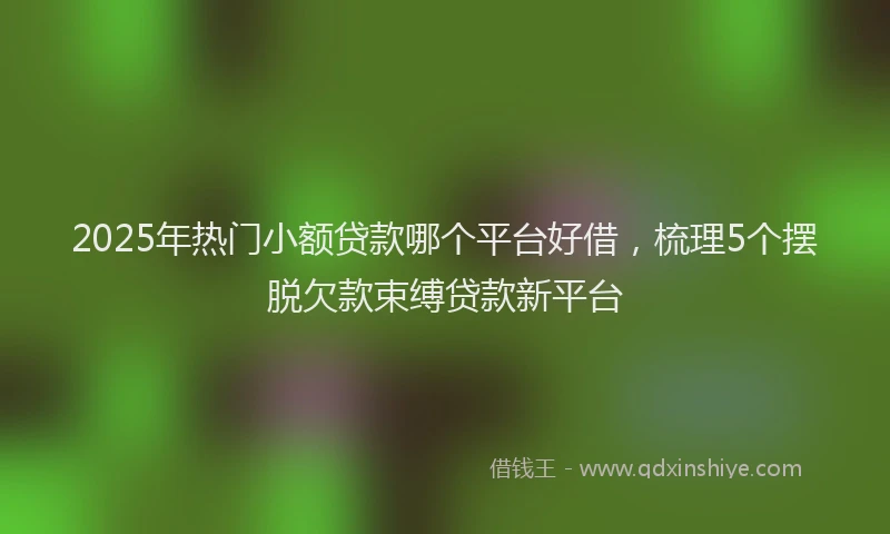 2025年热门小额贷款哪个平台好借，梳理5个摆脱欠款束缚贷款新平台