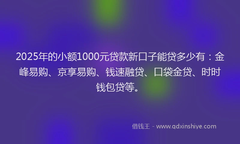 2025年的小额1000元贷款新口子能贷多少有：金峰易购、京享易购、钱速融贷、口袋金贷、时时钱包贷等。