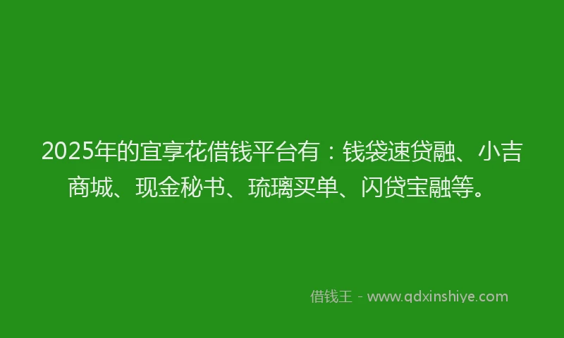 2025年的宜享花借钱平台有：钱袋速贷融、小吉商城、现金秘书、琉璃买单、闪贷宝融等。