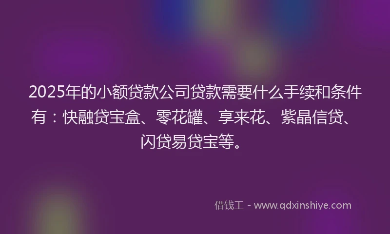 2025年的小额贷款公司贷款需要什么手续和条件有：快融贷宝盒、零花罐、享来花、紫晶信贷、闪贷易贷宝等。