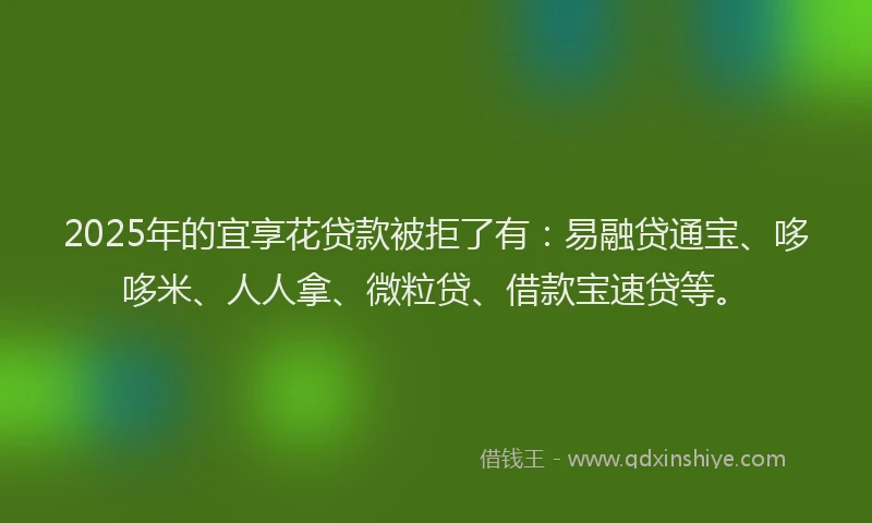 2025年的宜享花贷款被拒了有：易融贷通宝、哆哆米、人人拿、微粒贷、借款宝速贷等。