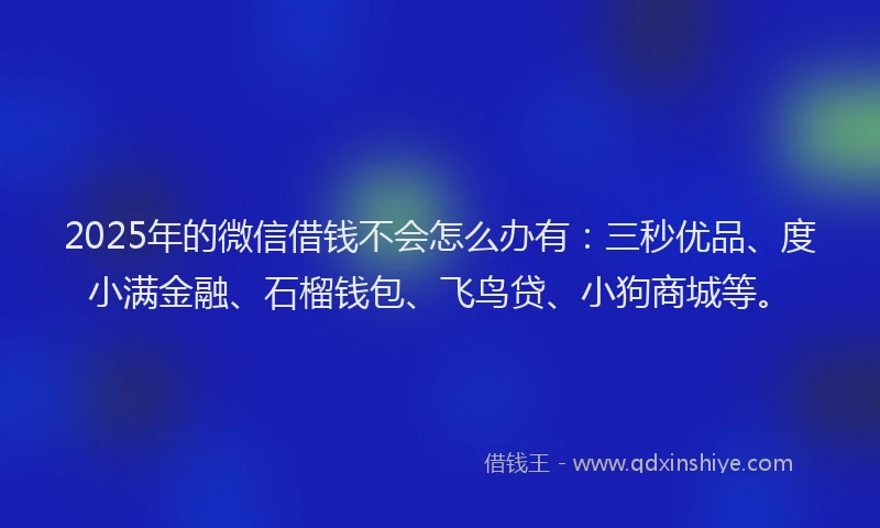 2025年的微信借钱不会怎么办有：三秒优品、度小满金融、石榴钱包、飞鸟贷、小狗商城等。
