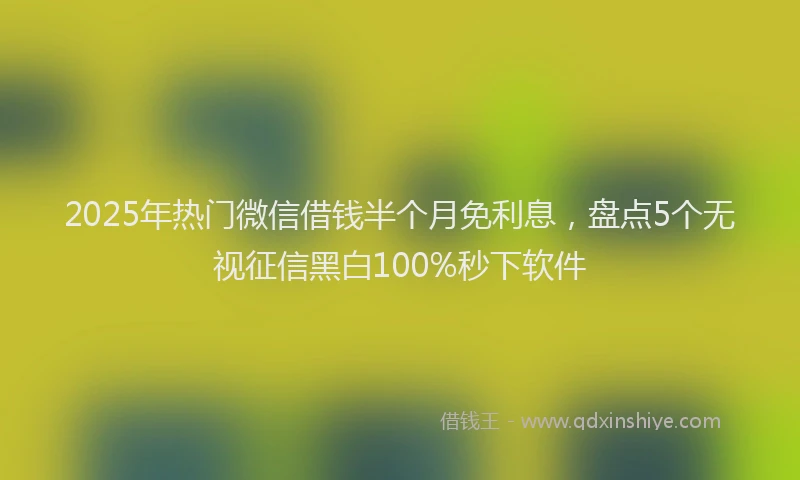 2025年热门微信借钱半个月免利息，盘点5个无视征信黑白100%秒下软件