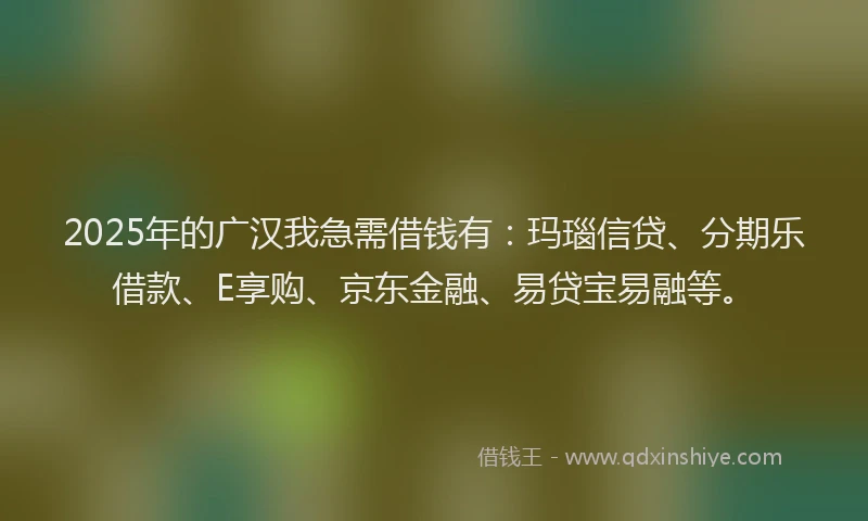 2025年的广汉我急需借钱有：玛瑙信贷、分期乐借款、E享购、京东金融、易贷宝易融等。