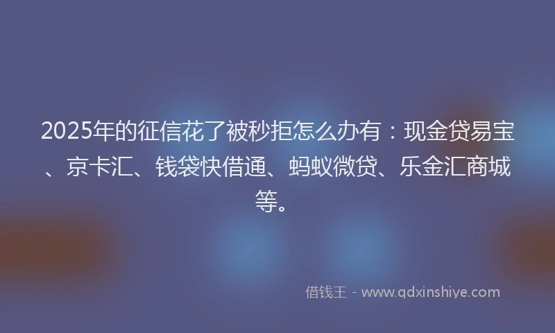 2025年的征信花了被秒拒怎么办有：现金贷易宝、京卡汇、钱袋快借通、蚂蚁微贷、乐金汇商城等。
