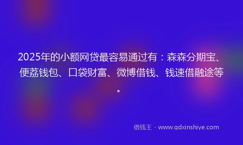 2025年的小额网贷最容易通过有：森森分期宝、便荔钱包、口袋财富、微博借钱、钱速借融途等。