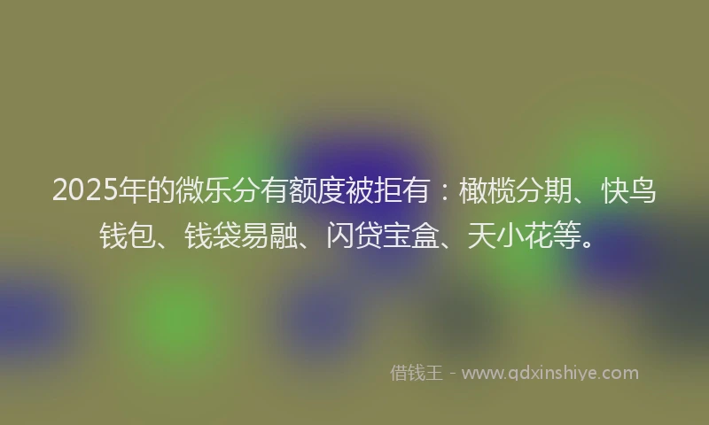 2025年的微乐分有额度被拒有：橄榄分期、快鸟钱包、钱袋易融、闪贷宝盒、天小花等。