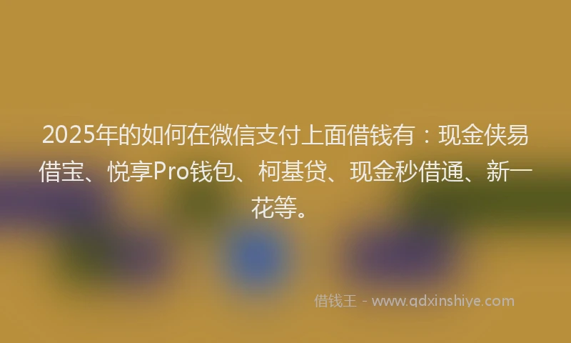 2025年的如何在微信支付上面借钱有：现金侠易借宝、悦享Pro钱包、柯基贷、现金秒借通、新一花等。