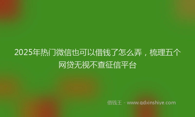 2025年热门微信也可以借钱了怎么弄，梳理五个网贷无视不查征信平台