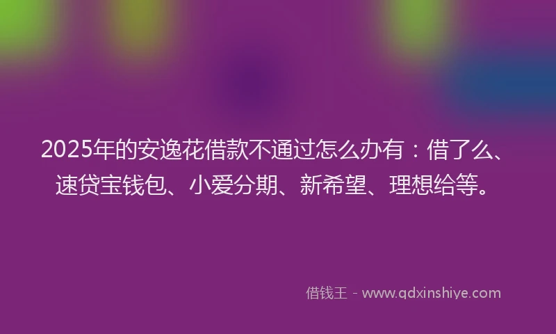 2025年的安逸花借款不通过怎么办有：借了么、速贷宝钱包、小爱分期、新希望、理想给等。