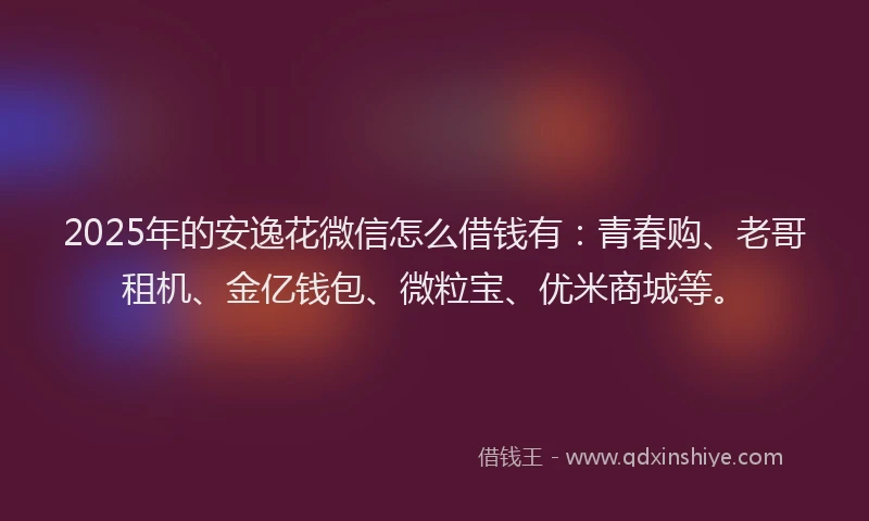 2025年的安逸花微信怎么借钱有：青春购、老哥租机、金亿钱包、微粒宝、优米商城等。