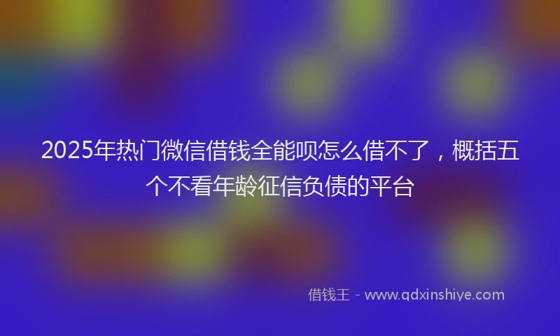 2025年热门微信借钱全能呗怎么借不了，概括五个不看年龄征信负债的平台