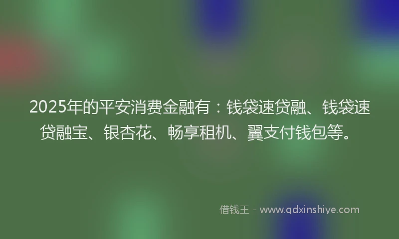 2025年的平安消费金融有：钱袋速贷融、钱袋速贷融宝、银杏花、畅享租机、翼支付钱包等。