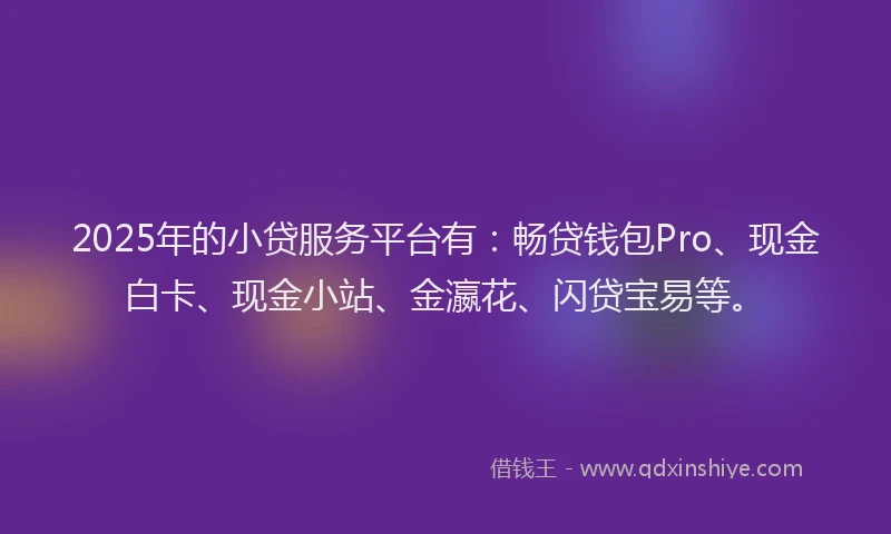 2025年的小贷服务平台有：畅贷钱包Pro、现金白卡、现金小站、金瀛花、闪贷宝易等。
