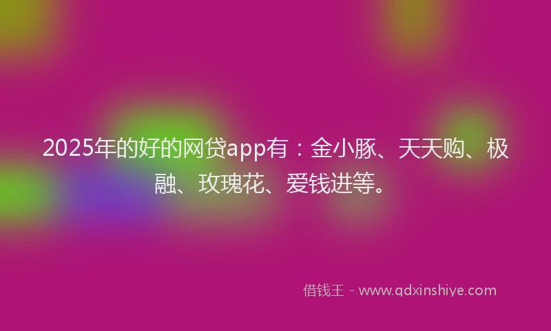 2025年的好的网贷app有：金小豚、天天购、极融、玫瑰花、爱钱进等。