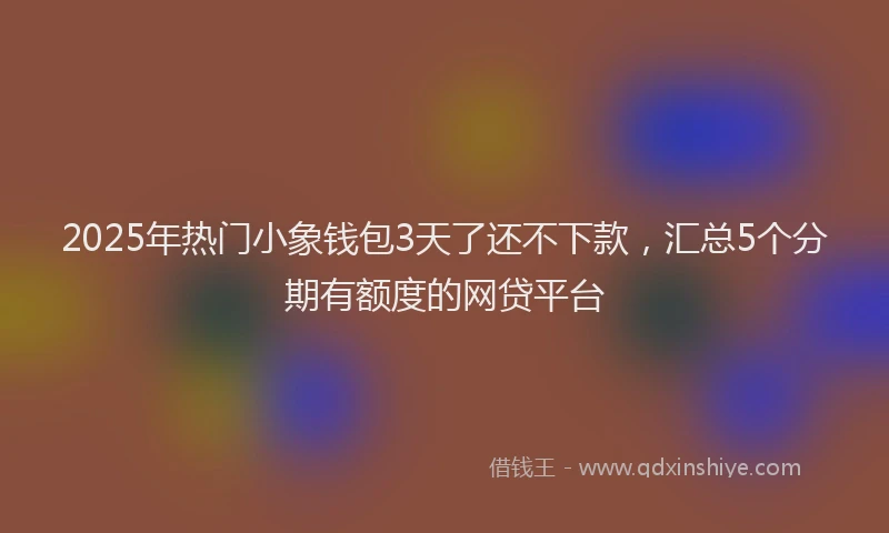 2025年热门小象钱包3天了还不下款，汇总5个分期有额度的网贷平台