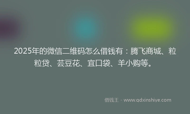 2025年的微信二维码怎么借钱有：腾飞商城、粒粒贷、芸豆花、宜口袋、羊小购等。