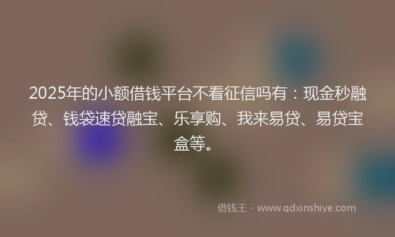 2025年的小额借钱平台不看征信吗有：现金秒融贷、钱袋速贷融宝、乐享购、我来易贷、易贷宝盒等。